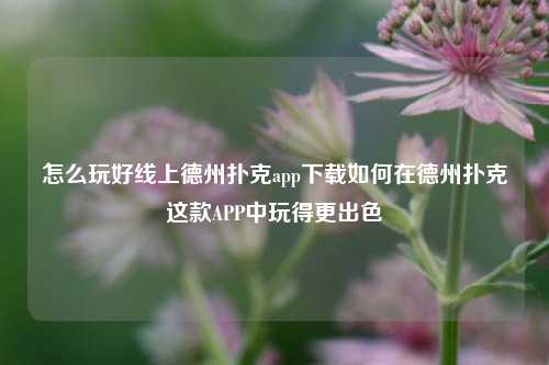 怎么玩好线上德州扑克app下载如何在德州扑克这款APP中玩得更出色