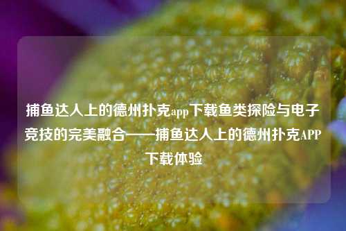 捕鱼达人上的德州扑克app下载鱼类探险与电子竞技的完美融合——捕鱼达人上的德州扑克APP下载体验