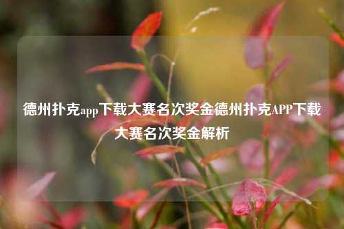 德州扑克app下载大赛名次奖金德州扑克APP下载大赛名次奖金解析