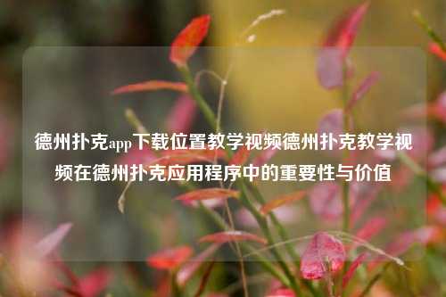 德州扑克app下载位置教学视频德州扑克教学视频在德州扑克应用程序中的重要性与价值