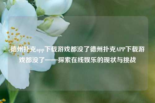 德州扑克app下载游戏都没了德州扑克APP下载游戏都没了——探索在线娱乐的现状与挑战