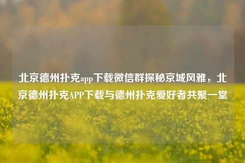 北京德州扑克app下载微信群探秘京城风雅，北京德州扑克APP下载与德州扑克爱好者共聚一堂