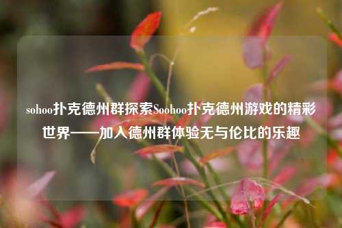 sohoo扑克德州群探索Soohoo扑克德州游戏的精彩世界——加入德州群体验无与伦比的乐趣