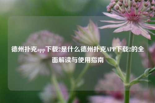 德州扑克app下载2是什么德州扑克APP下载2的全面解读与使用指南