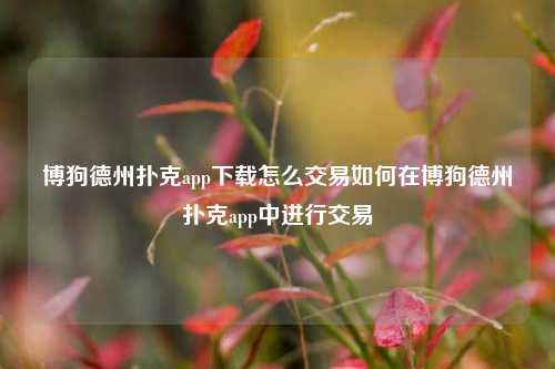 博狗德州扑克app下载怎么交易如何在博狗德州扑克app中进行交易