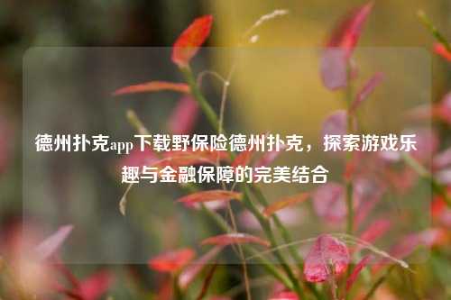 德州扑克app下载野保险德州扑克，探索游戏乐趣与金融保障的完美结合