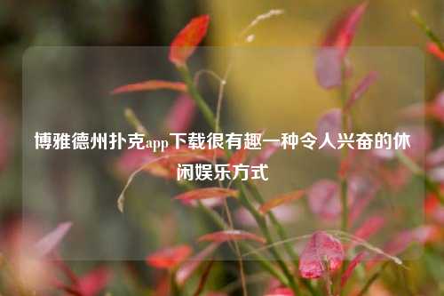 博雅德州扑克app下载很有趣一种令人兴奋的休闲娱乐方式