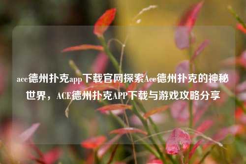 ace德州扑克app下载官网探索Ace德州扑克的神秘世界，ACE德州扑克APP下载与游戏攻略分享