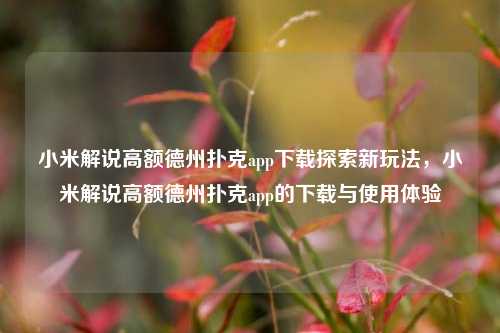 小米解说高额德州扑克app下载探索新玩法，小米解说高额德州扑克app的下载与使用体验