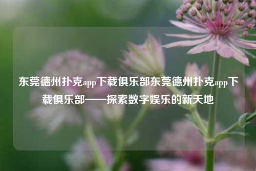 东莞德州扑克app下载俱乐部东莞德州扑克app下载俱乐部——探索数字娱乐的新天地