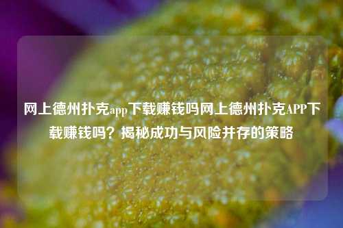 网上德州扑克app下载赚钱吗网上德州扑克APP下载赚钱吗？揭秘成功与风险并存的策略