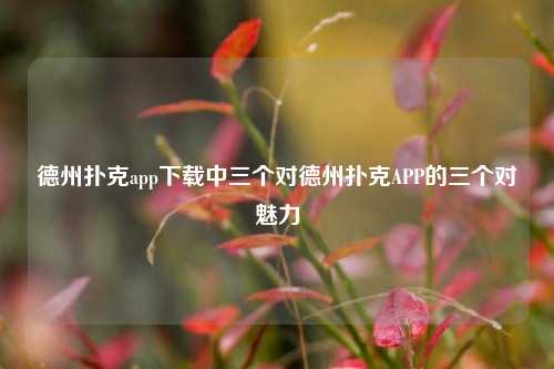 德州扑克app下载中三个对德州扑克APP的三个对魅力