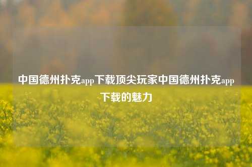 中国德州扑克app下载顶尖玩家中国德州扑克app下载的魅力