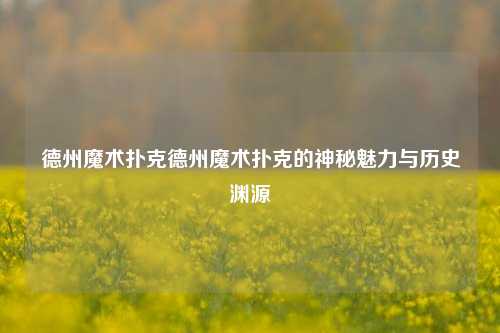 德州魔术扑克德州魔术扑克的神秘魅力与历史渊源