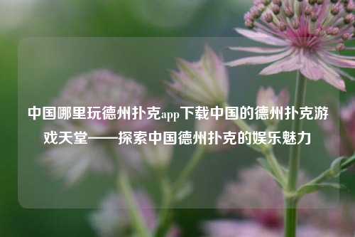 中国哪里玩德州扑克app下载中国的德州扑克游戏天堂——探索中国德州扑克的娱乐魅力