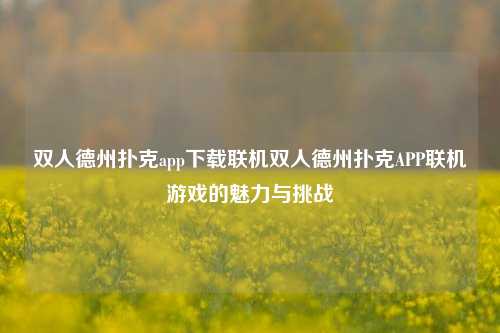 双人德州扑克app下载联机双人德州扑克APP联机游戏的魅力与挑战