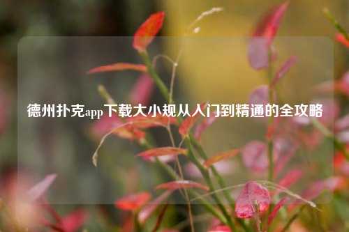 德州扑克app下载大小规从入门到精通的全攻略