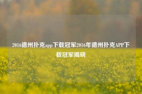 2016德州扑克app下载冠军2016年德州扑克APP下载冠军揭晓