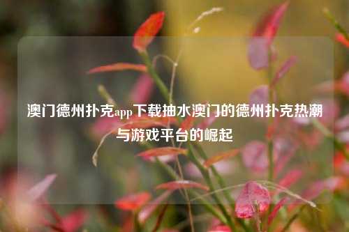 澳门德州扑克app下载抽水澳门的德州扑克热潮与游戏平台的崛起
