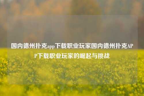 国内德州扑克app下载职业玩家国内德州扑克APP下载职业玩家的崛起与挑战