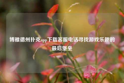 博雅德州扑克app下载客服电话寻找游戏乐趣的最后堡垒