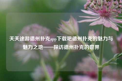 天天途游德州扑克app下载吧德州扑克的魅力与魅力之地——探访德州扑克的世界