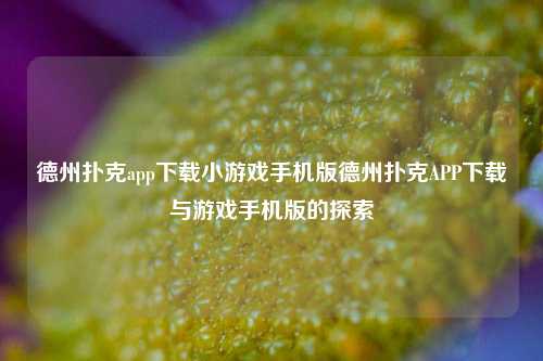 德州扑克app下载小游戏手机版德州扑克APP下载与游戏手机版的探索