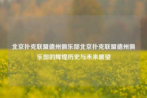 北京扑克联盟德州俱乐部北京扑克联盟德州俱乐部的辉煌历史与未来展望