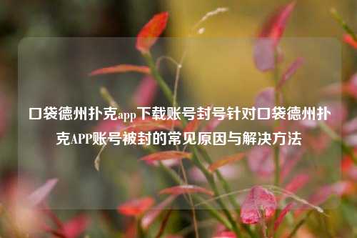 口袋德州扑克app下载账号封号针对口袋德州扑克APP账号被封的常见原因与解决方法