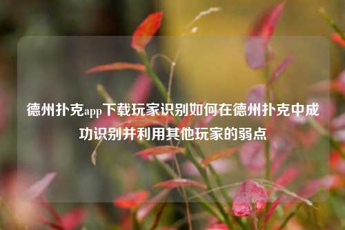 德州扑克app下载玩家识别如何在德州扑克中成功识别并利用其他玩家的弱点