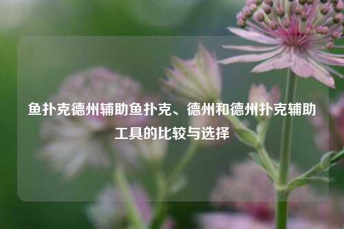 鱼扑克德州辅助鱼扑克、德州和德州扑克辅助工具的比较与选择