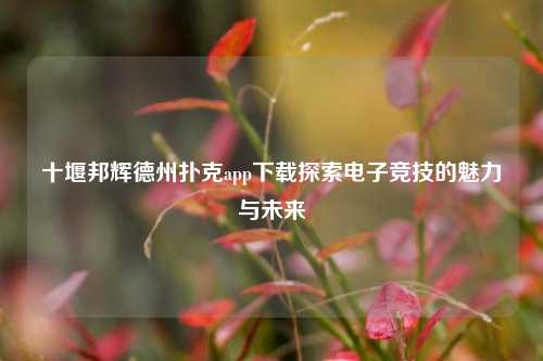 十堰邦辉德州扑克app下载探索电子竞技的魅力与未来