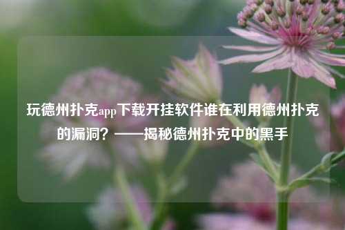 玩德州扑克app下载开挂软件谁在利用德州扑克的漏洞？——揭秘德州扑克中的黑手