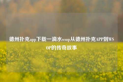 德州扑克app下载一滴水wsop从德州扑克APP到WSOP的传奇故事