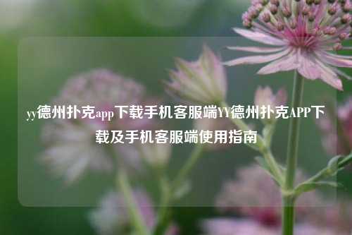 yy德州扑克app下载手机客服端YY德州扑克APP下载及手机客服端使用指南
