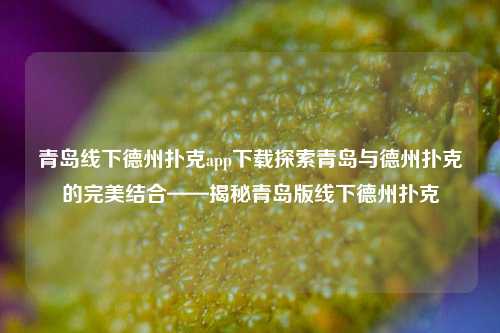 青岛线下德州扑克app下载探索青岛与德州扑克的完美结合——揭秘青岛版线下德州扑克