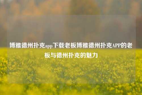 博雅德州扑克app下载老板博雅德州扑克APP的老板与德州扑克的魅力