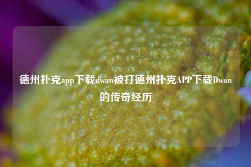 德州扑克app下载dwan被打德州扑克APP下载Dwan的传奇经历