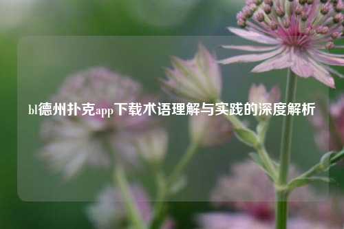 bl德州扑克app下载术语理解与实践的深度解析