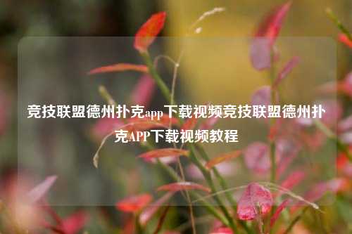 竞技联盟德州扑克app下载视频竞技联盟德州扑克APP下载视频教程