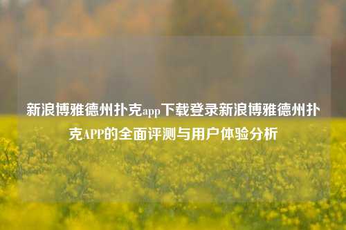 新浪博雅德州扑克app下载登录新浪博雅德州扑克APP的全面评测与用户体验分析