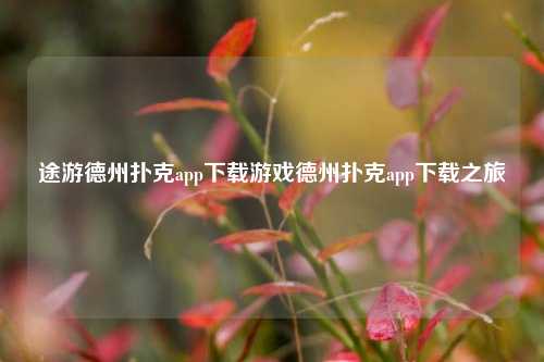 途游德州扑克app下载游戏德州扑克app下载之旅