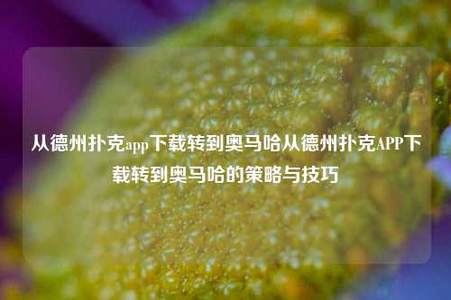 从德州扑克app下载转到奥马哈从德州扑克APP下载转到奥马哈的策略与技巧