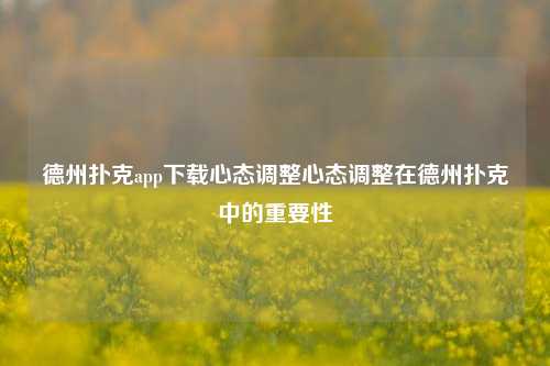 德州扑克app下载心态调整心态调整在德州扑克中的重要性