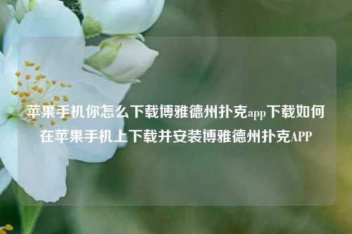 苹果手机你怎么下载博雅德州扑克app下载如何在苹果手机上下载并安装博雅德州扑克APP