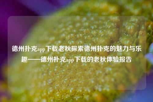德州扑克app下载老秋探索德州扑克的魅力与乐趣——德州扑克app下载的老秋体验报告