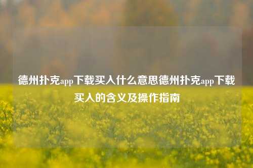 德州扑克app下载买入什么意思德州扑克app下载买入的含义及操作指南