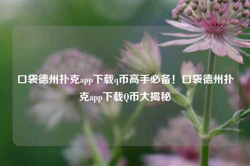 口袋德州扑克app下载q币高手必备！口袋德州扑克app下载Q币大揭秘