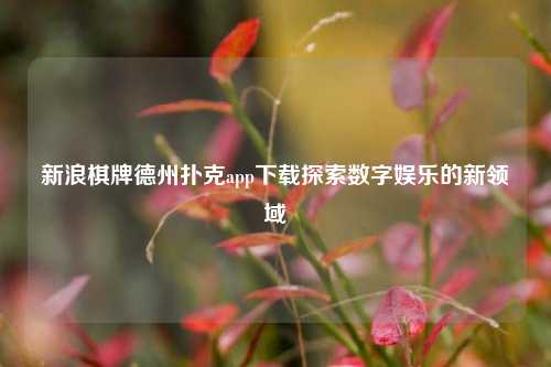新浪棋牌德州扑克app下载探索数字娱乐的新领域