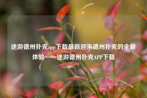 途游德州扑克app下载最新迎来德州扑克的全新体验——途游德州扑克APP下载